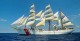 Harbour Group of Companies working with Navy League to bring back U.S. Navy and Coast Guard Vessels for R&R.