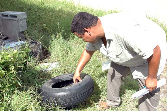 A health inspector finds an abandoned tire during a yard inspection. This is an ideal breeding ground for mosquitoes. healthspector