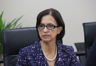 MP Wescot-Williams Calls for Respect for Sint Maarten and a Shared National Vision.