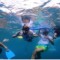 The Nature Foundation St. Maarten Organized Two Free Coral Education Snorkels, Thanks to Windward Roads, Local Sponsors and the Scuba Shop.