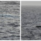 Within 1 hour a direct hit for HLNMS Friesland: 3.000 kilograms drugs intercepted.