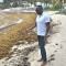 MP Lyndon Lewis Urges Government to Address Sargassum Concerns and Protect St. Maarten’s Tourism Image.