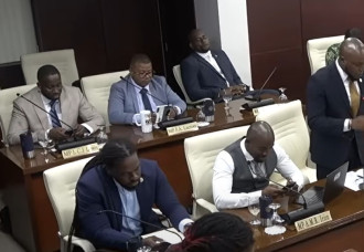 UPP, NA And NOW Urge Finance Minister Gumbs to Retract Unlawful CBCS Nomination.
