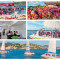 Pink Sunset Sail Adds Fourth Boat for 10th Anniversary Celebration.