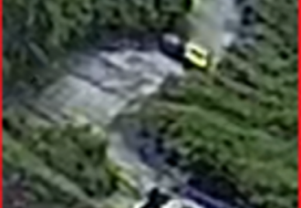 Public assistance sought to identify vehicle and possible witness.