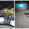 Police step up controls after robberies in Cole Bay, Simpson Bay and Cupe Coy.