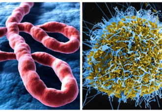 Sint Maarten Issues Public Health Advisory & Travel Restrictions as Ebola Prevention Measures.