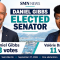 Daniel Gibbs wins Saint-Martin senate seat after second-round comeback.
