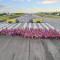 PJIAE  Brings Princess walk back to the Runway for Breast Cancer Awareness Month.