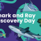 Community invited to celebrate local sharks and rays during festival.