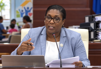 Jansen-Webster questions rise in VSA consultant spending as community programs face cuts.
