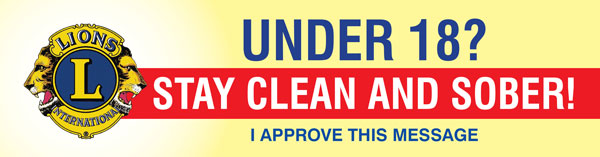 lionsbumpersticker24042016