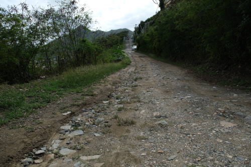 cassavaroad13022024