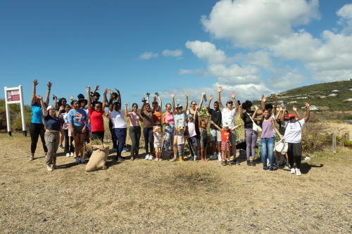 doetepiccleanup26022025