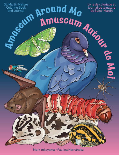 amuseum05102025
