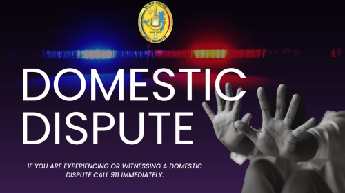 domesticdispute17072025