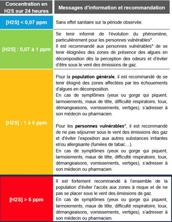 sargasses21052025