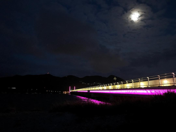 causewaybridgelights05062026