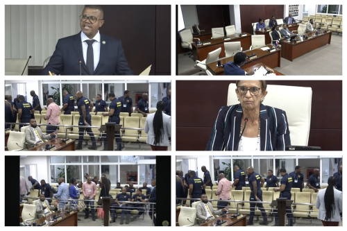 chaosin parliament29012026