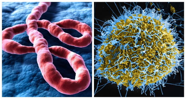 ebola05062026