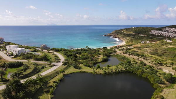 indigobay25062026