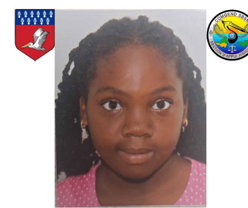 missingjoycelyn19022026