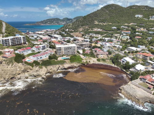 sargasum20052026