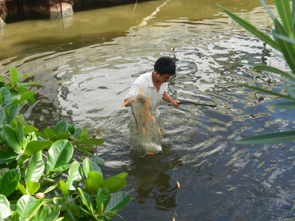 mancaughtfishingillegally08112011